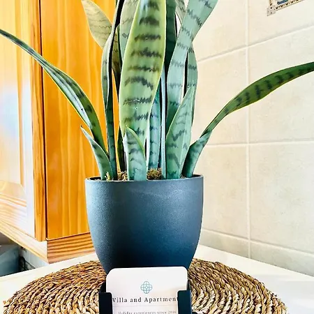 Villa Jordi - Cala En Porter